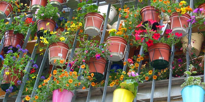 foto: rotkraut.c.r - creative commons